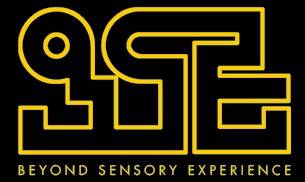 logo Beyond Sensory Experience